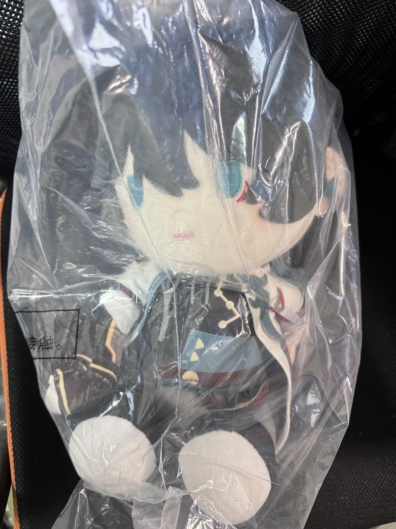 崩壊スターレイル 一番くじ 丹恒 なのか ぬいぐるみ 61wJ1eI44JL._AC_SY200_QL15_.jpg